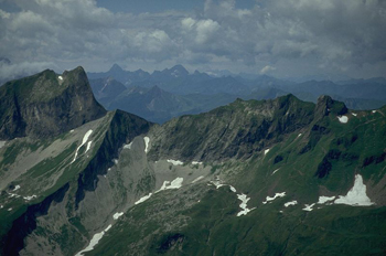 Westallgu